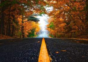 Auto insurance discounts